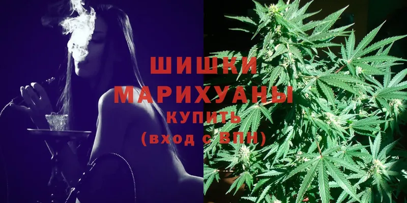 Бошки марихуана Amnesia  площадка наркотические препараты  Тарко-Сале 